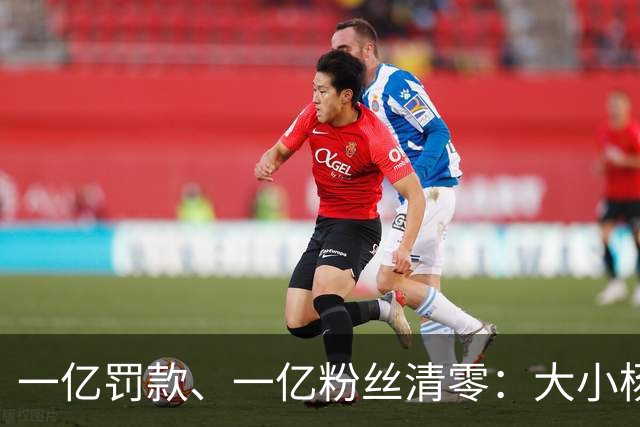 一亿罚款、一亿粉丝清零：大小杨哥回来，但直播间早就不等他们了