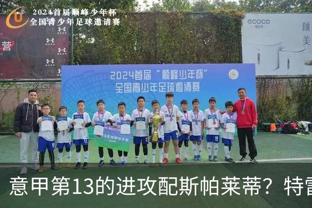 意甲第13的进攻配斯帕莱蒂？特雷维萨尼点名尤文引援