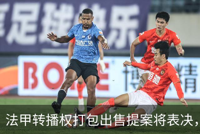 法甲转播权打包出售提案将表决，自营平台年入不足9000万欧